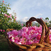 Розовая долина
