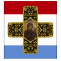 samzna_f